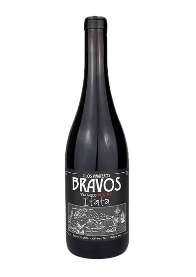 A Los Vinateros Bravos, Volcanico Pais - 2022 - Good Wine Good People