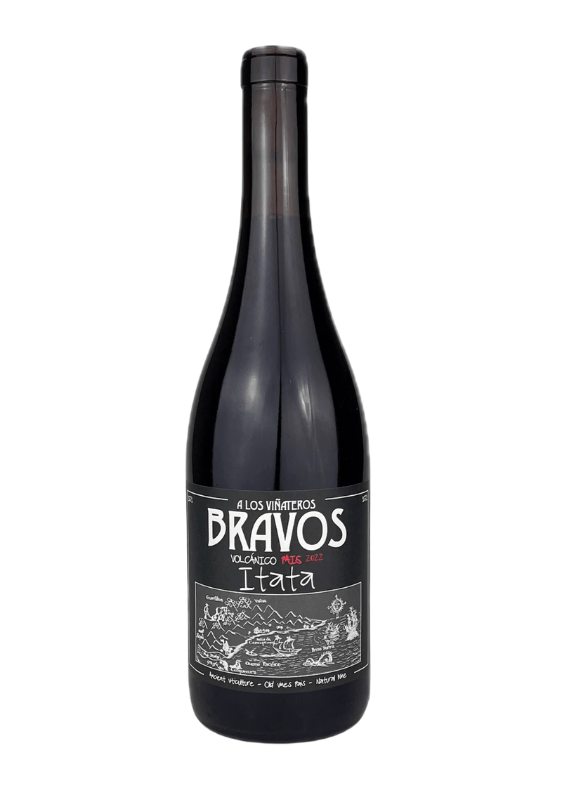 A Los Vinateros Bravos, Volcanico Pais - 2022 - Good Wine Good People