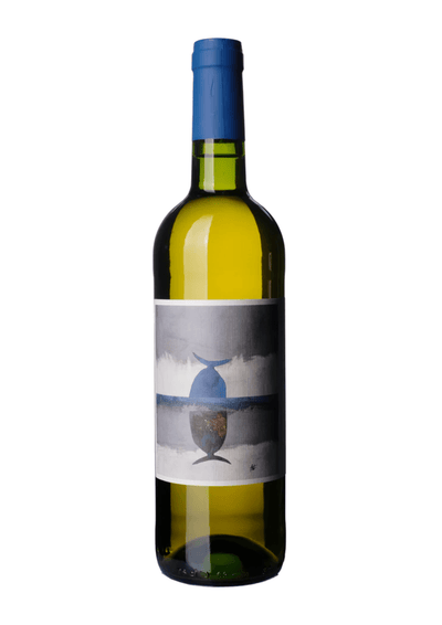 Hacienda La Parrilla, El Pinto Palomino - 2024 - Good Wine Good People