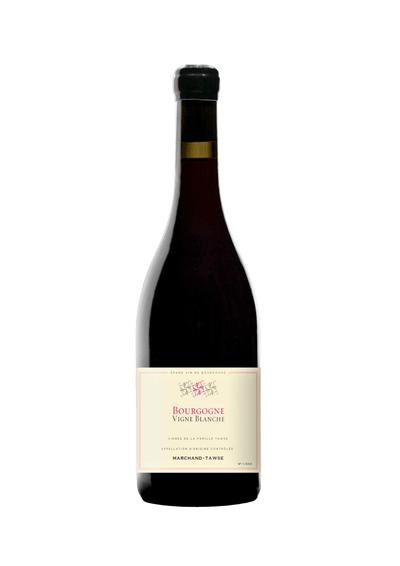 Maison Marchand - Tawse, Bourgogne Vigne Blanche - 2022 - Good Wine Good People