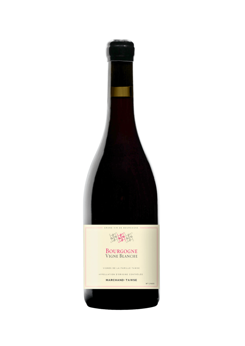 Maison Marchand - Tawse, Bourgogne Vigne Blanche - 2022 - Good Wine Good People