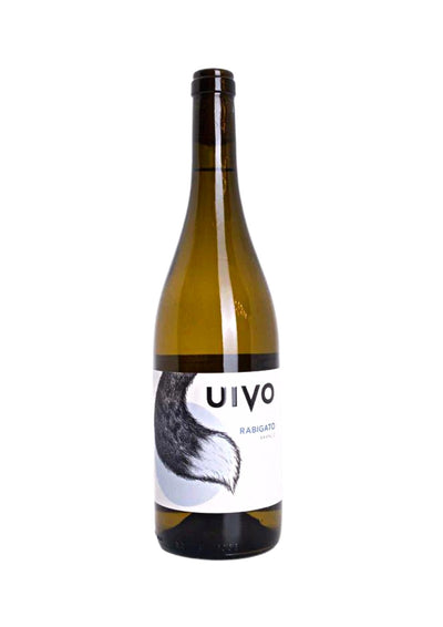 Folias de Baco (UIVO), Rabigato - 2021 - Good Wine Good People