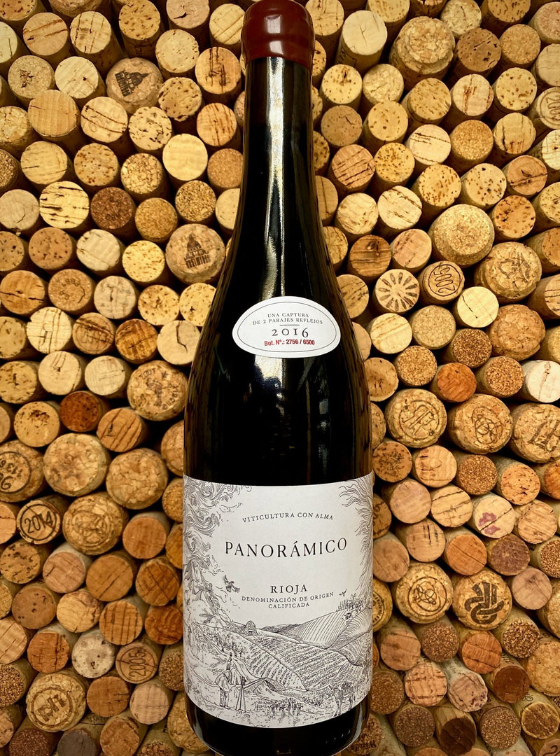 Panoramico, Rioja - 2016 - Good Wine Good People
