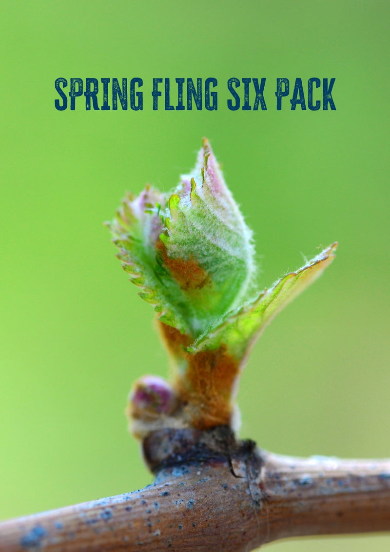 Spring Fling Six Pack - Good Wine Good People
