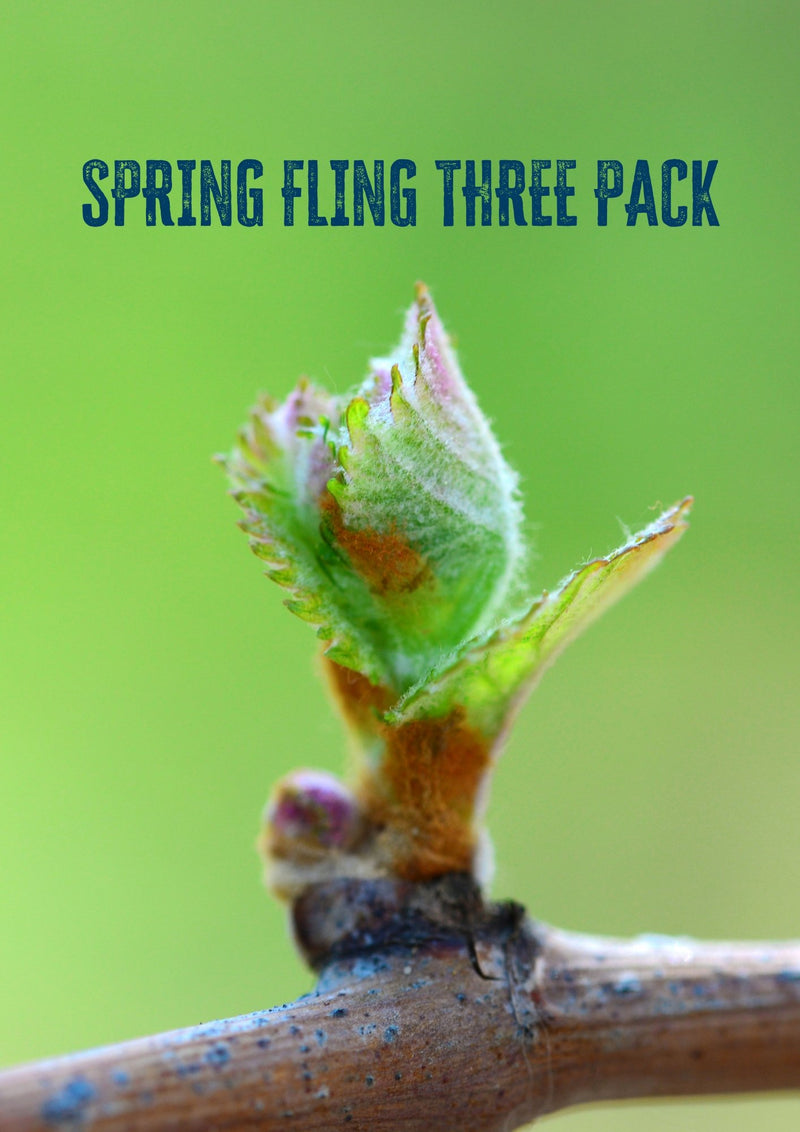 Spring Fling Three Pack - Good Wine Good People